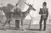 YORKS. Belly, pet deer of West Yorkshire Regt 1883 old antique print picture