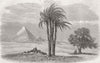EGYPT. Prince of Waless visit to. Gt Pyramid 1862 old antique print picture