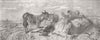 LANCS. Lytham Common 1854 old antique vintage print picture