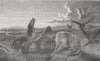 DOGS. The Three Ravens 1854 old antique vintage print picture