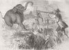 SRI LANKA. Elephant shooting 1846 old antique vintage print picture