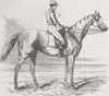 LANCS. Fanny Grey winner of Manchester Steeplechase 1849 old antique print