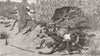 INDIA. Boar-hunting-Back through beaters 1881 old antique print picture