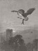 BIRDS. Catching a Tartar 1873 old antique vintage print picture