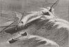 IRELAND. Lifeboat rescue, storm, Ballycotton Bay 1866 old antique print