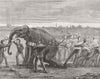 ELEPHANTS. Rowing. Boat race training. Tug of War 1877 old antique print