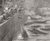 INDIA. Feeding Sacred alligators, Muggur Talao, Sindh 1878 old antique print
