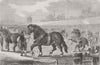 HORSES. Royal farmers Show. Horse Ring 1862 old antique vintage print picture