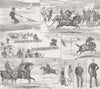 DORSET. Yeomanry week, Weymouth; Horses 1881 old antique vintage print picture
