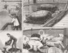 TURTLES. HMS Yamuna, Ascension Island 1879 old antique vintage print picture