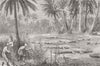 PAKISTAN. Muggur Pier, nr Karachi, sacred alligators 1873 old antique print