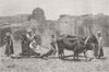MANUFACTURING. Native Chaff-Cutting Machine 1882 old antique print picture
