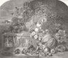 FOOD. Royal Academy. No 611 Fruit 1853 old antique vintage print picture
