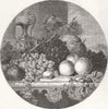 FRUIT. Hall 1853 old antique vintage print picture