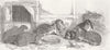 SOCIETY. Metropolitan Rabbit Club. Show of 1852 old antique print picture