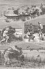 AFGHANISTAN. With Mumbai division-duck-shooting 1879 old antique print picture