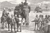 ELEPHANTS. Bringing in the dead 1879 old antique vintage print picture