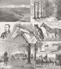 WILTS. A day at the Russley Stables 1881 old antique vintage print picture