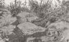 INDIA. Kashmir Earthquake. Some graves, Chasm 1885 old antique print picture