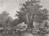 CHURCHES. Art Exhibition. Country Churchyard 1856 old antique print picture