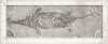 SOMT. Fossil found, Lias Quarries, Glastonbury  1856 old antique print picture