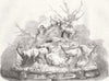 DEER. Bradgate Park, silver(Stamford & Warrington) 1856 old antique print