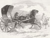 COWS. The road to the bull-fight 1847 old antique vintage print picture