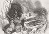 SCOTLAND. Deer-stalking, Highlands of Scotland 1843 old antique print picture