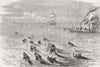 DEVON. Incident with & Somt staghounds 1880 old antique vintage print picture