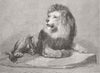 LONDON. Lion of Zoological Society’s collection 1874 old antique print picture