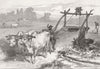 INDIA. Famine, Bengal. Indian mode of irrigation 1874 old antique print
