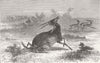 INDIA. Hunting with cheetahs, Vadodara c1870 old antique vintage print picture