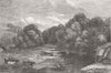 COWS. The woodland tees 1854 old antique vintage print picture