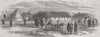 MEDICAL. Brigade hospital of light division 1856 old antique print picture
