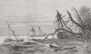 DENMARK. Storms, Baltic. Falster 1872 old antique vintage print picture