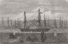 MALTA. Black Sea fleet, Harbour 1856 old antique vintage print picture
