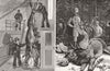 SWEDEN. Weighing Prince's Elk Osborne; Bull killed Crown Prince Hunneberg 1885