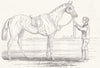 BERKSHIRE. Alice Hawthorn, the winner of the Gold vase, at Ascot races 1844
