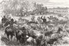 SOUTH AFRICA. Basuto War in. Recovery of cows from Basutos 1880 old print
