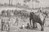 BURMA. An Elephant pooay in upper Burma 1887 old antique vintage print picture