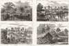 GHANA.Ashanti War.Road to Kumasi;Accroful;Yancomassie-Assin;Sutah;Barracoe 1874