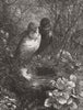 BIRDS. The first Nest 1876 old antique vintage print picture