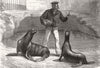 SUSSEX. Sea-lions at the Brighton aquarium 1876 old antique print picture