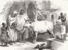 INDIA. A Sacred bull, Varanasi 1876 old antique vintage print picture
