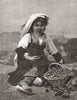 FOOD. The young Italian fruit-seller 1876 old antique vintage print picture