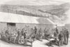 DEVON. County Agricultural Association show at Tavistock. Judging mastiffs 1877