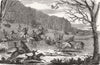 FOXES. Fox-hunting 1854 old antique vintage print picture