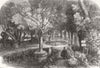 HAUT-RHIN. Experimenting ponds at the Huningue fish Nurseries 1864 old print