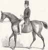 HORSES. Wellington 1852 old antique vintage print picture