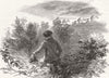 HORSES. The Horse-Watcher 1844 old antique vintage print picture